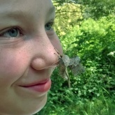 Guess the moth on Ella's nose!